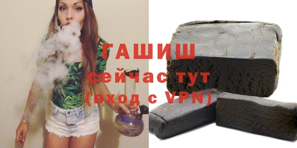 стаф Кулебаки