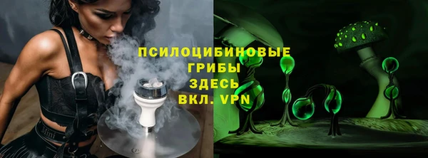 стаф Кулебаки