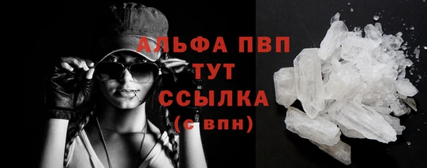 стаф Кулебаки