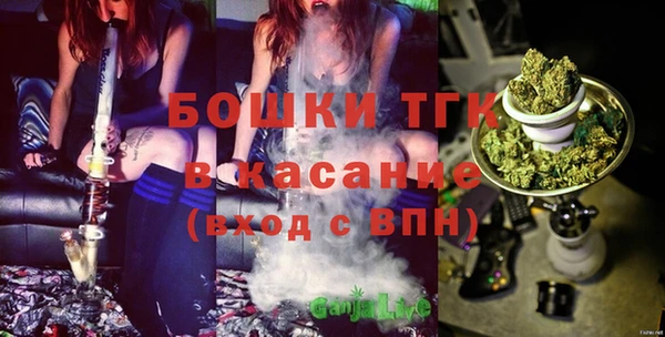 стаф Кулебаки