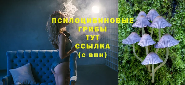стаф Кулебаки