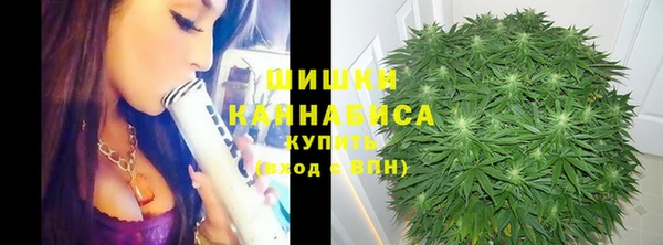 стаф Кулебаки