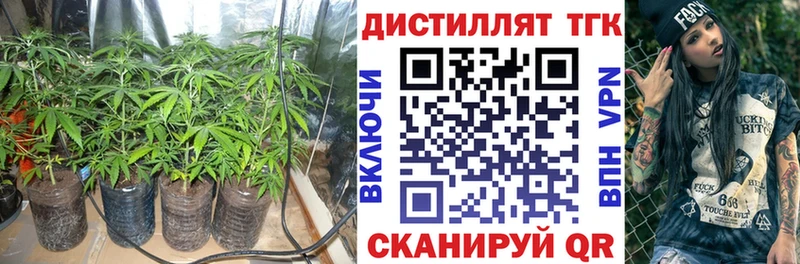 Дистиллят ТГК концентрат  Купить  Рыбное 